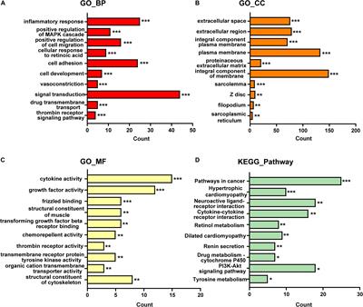 Construction and Analysis of a ceRNA Network in Cardiac Fibroblast During Fibrosis Based on in vivo and in vitro Data